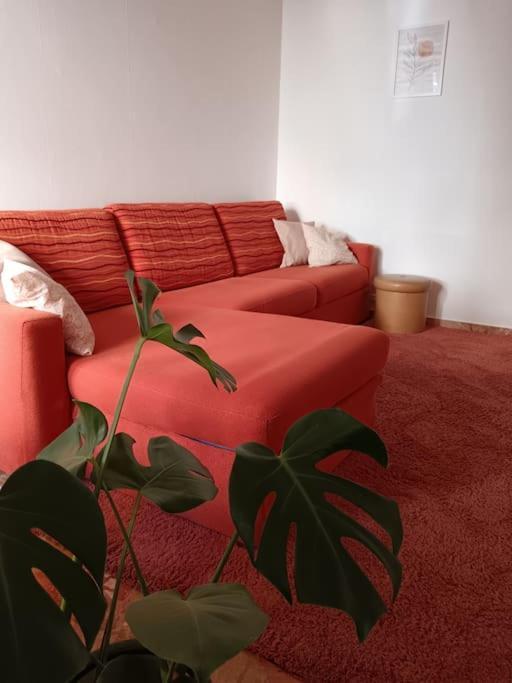 Forti Genova-Free Parking Castellaccio Apartment 外观 照片